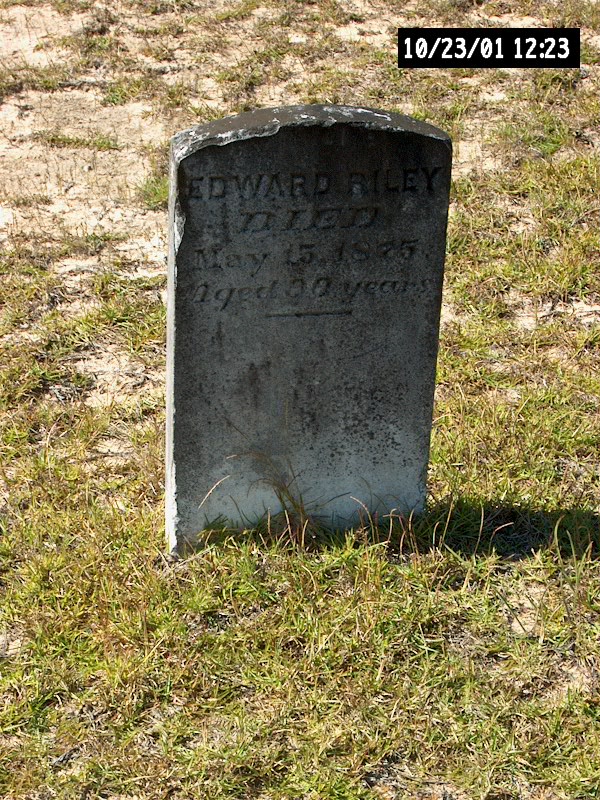 Descendants of John Riley Sr